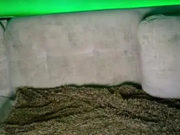 Chaturbate Nude Webcam of maisonbastian
