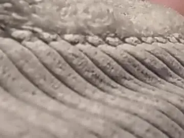 Chaturbate Free Porn Cam of secretlover755