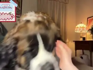 Chaturbate Adult Webcams of lucydelovely