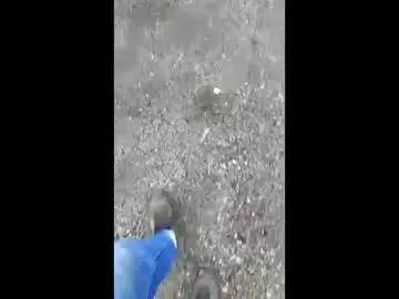 Chaturbate Adult Webcam of moos1