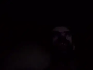 Chaturbate Sex Cam of fffjj021