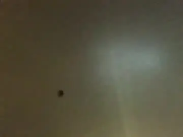 Chaturbate Sex Cam of hardforyou3030