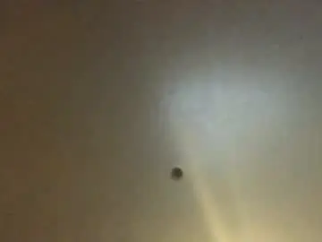 Chaturbate Adult Webcam of hardforyou3030