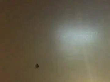 Chaturbate Best Webcam of hardforyou3030