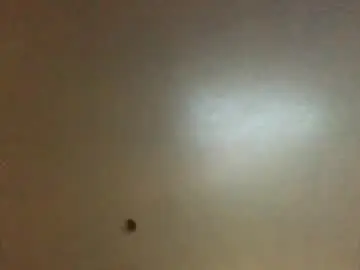 Chaturbate Live Sex of hardforyou3030