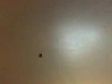 Chaturbate Free Live Porn of hardforyou3030