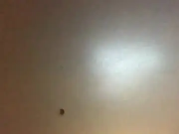 Chaturbate Best live sex cam show of hardforyou3030