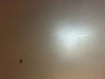 Chaturbate Sex Chat of hardforyou3030