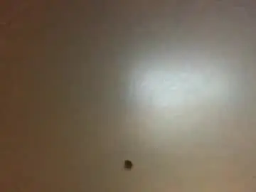 Chaturbate Private Sex Chat of hardforyou3030