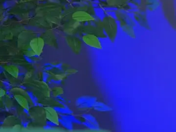 Chaturbate Free Live Porn of desimissy