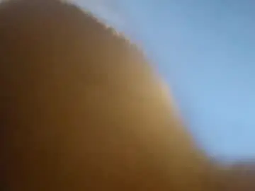 Chaturbate Sex Chat of beardedtattedguy