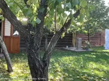 Chaturbate Sex Cam of patry333