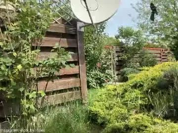 Chaturbate Live Porn of patry333