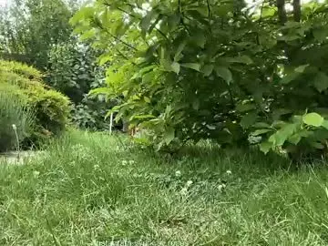 Chaturbate Free Porn Cam of patry333