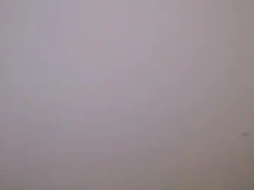 Chaturbate Live Porn of maluma4you