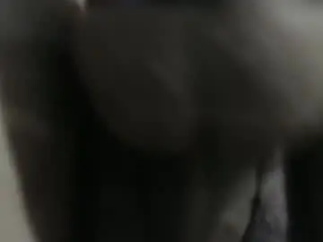 Chaturbate Watch Live Sex Cams of zara_red