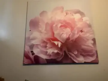 Chaturbate Adult Webcam of aussielovingxxx