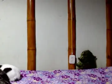 Chaturbate Adult Webcams of miahells