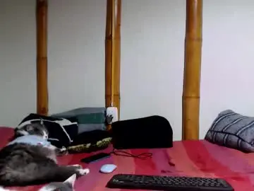 Chaturbate Live Sex Cam of miahells