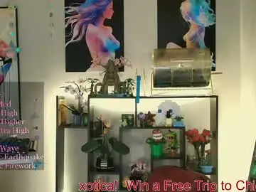 Chaturbate Nude Webcam of novaharper