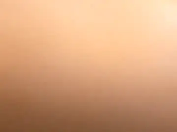 Chaturbate Adult Webcams of h_andsome