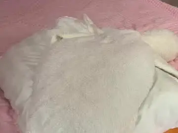 Chaturbate Adult Webcam of playussoftly