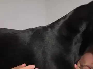 Chaturbate Adult Webcam of probablynotgonnahappen