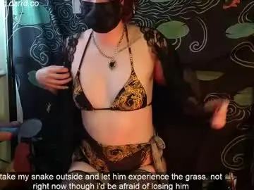 Chaturbate Sex Chat of summerwing