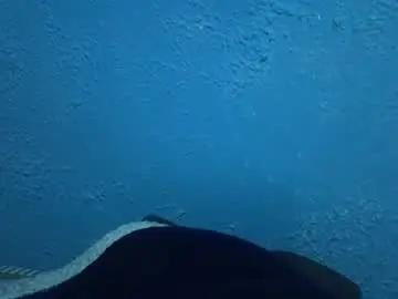 Chaturbate Live Sex of piazaocwbbb