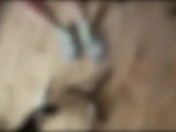 Chaturbate Sex Chat of yexes