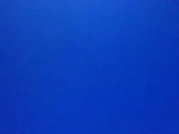 Chaturbate Nude Webcam of bonershow