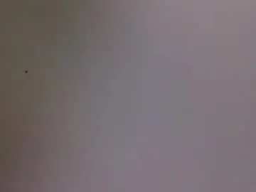 Chaturbate Private Sex Chat of bonershow