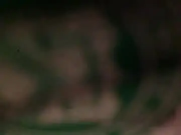 Chaturbate Free Porn Cam of bonershow