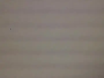 Chaturbate Free Live Porn of bonershow