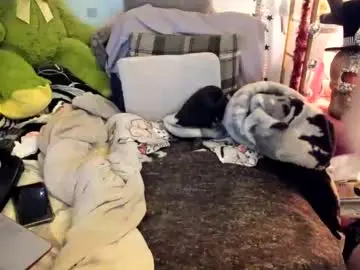 Chaturbate Free Porn Cam of mature_angel