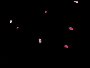 Chaturbate Sex Cam of nevermakeawish