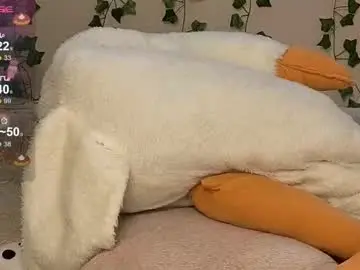 Chaturbate Best live sex cam show of olivia_meow_