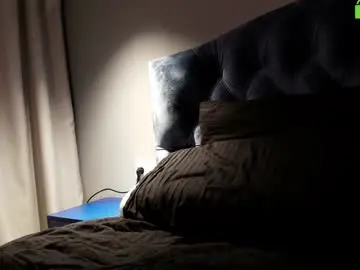 Chaturbate Adult Video Chat of hollyextra