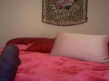 Chaturbate Adult Webcams of blondebunny999