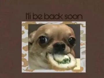 Chaturbate Best Webcam of anna_el