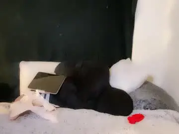 Chaturbate Best Webcam of femgirl99