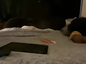 Chaturbate Watch Live Sex Cams of femgirl99