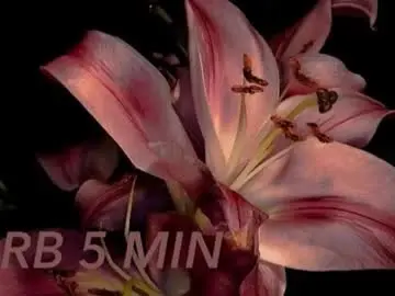 Chaturbate Live Sex of moranosofia