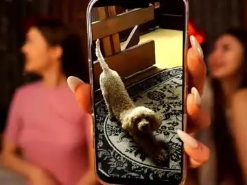 Chaturbate Adult Webcam of catolinanight