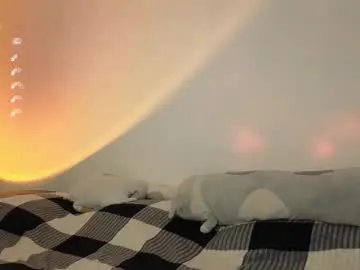 Chaturbate Live Sex of mysthush