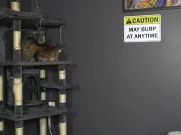 Chaturbate Best Webcam of sydaffect