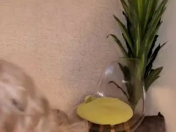 Chaturbate Live Sex Cam of danna_ortega_