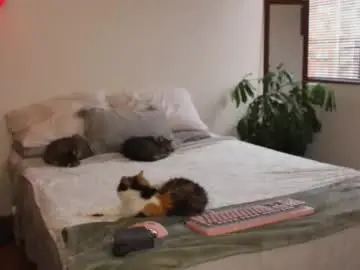 Chaturbate Best live sex cam show of jossephine_