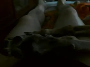 Chaturbate Sex Chat of bagalan