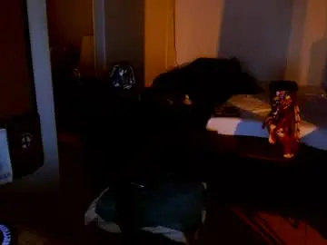 Chaturbate Best live sex cam show of mycock4u247